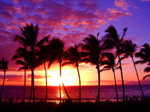 40580 (a): :1600x1200